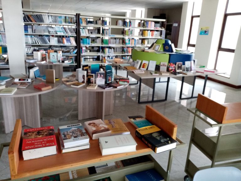 Library Book Shelves